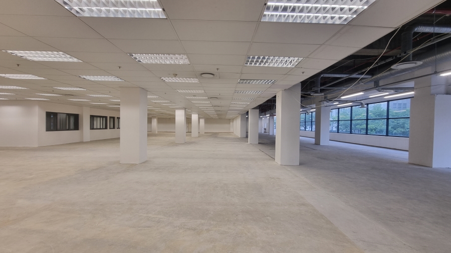 To Let Commercial Property for Rent in Cape Town City Centre Western Cape